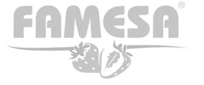 Famesa